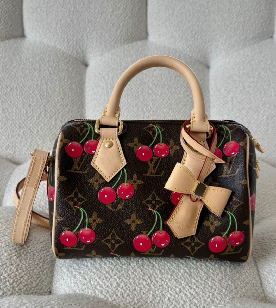 Sac Louis Vuitton Speedy